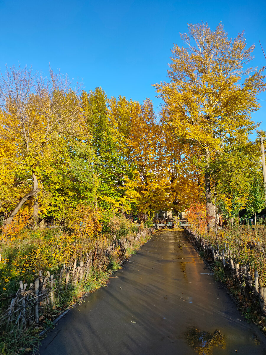 Ранняя осень (сентябрь)