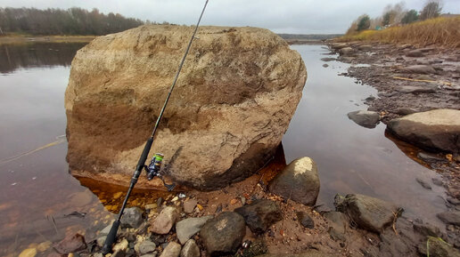 Удилище Silver Stream Tsunami Professional Feeder