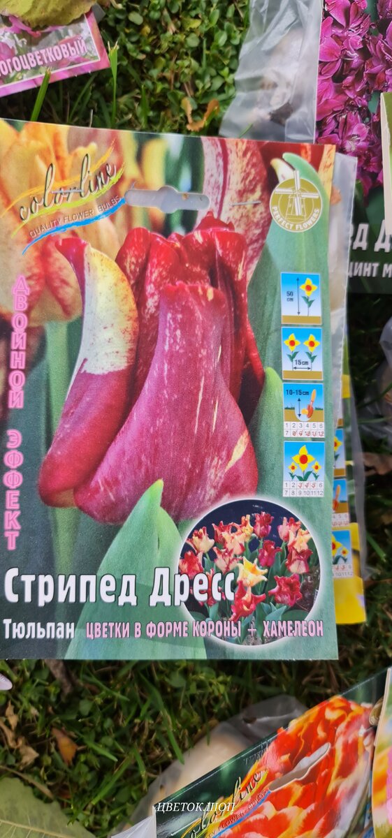 -14