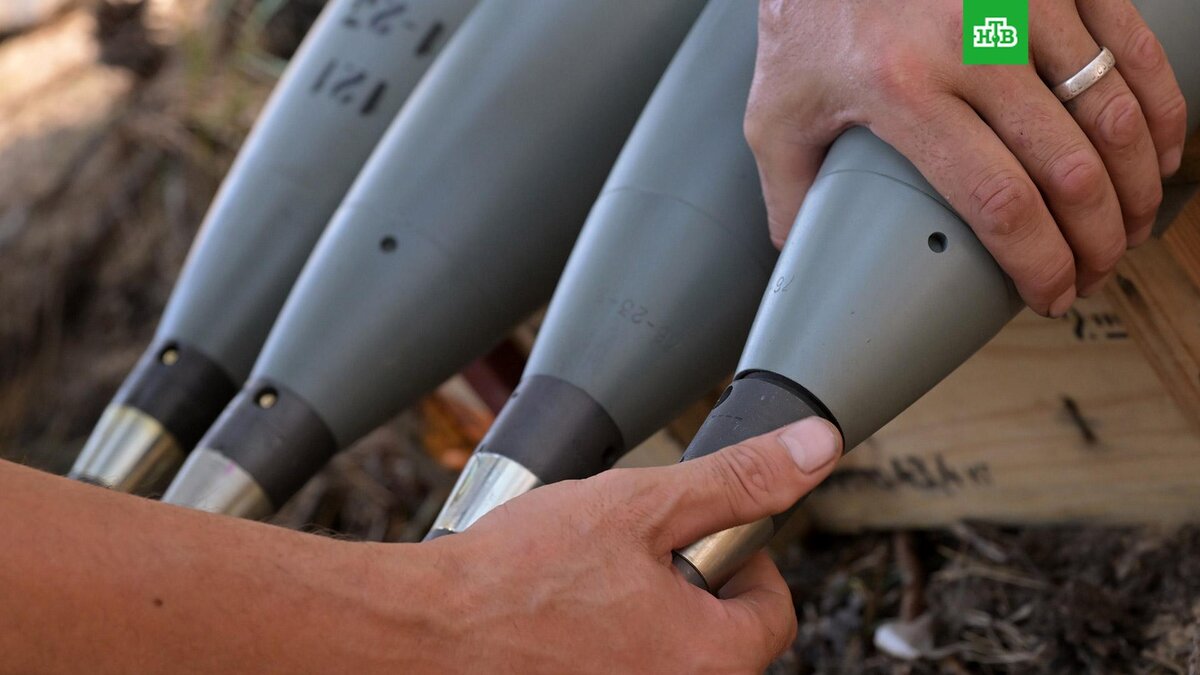    Фото: РИА Новости © 2023, Евгений Биятов