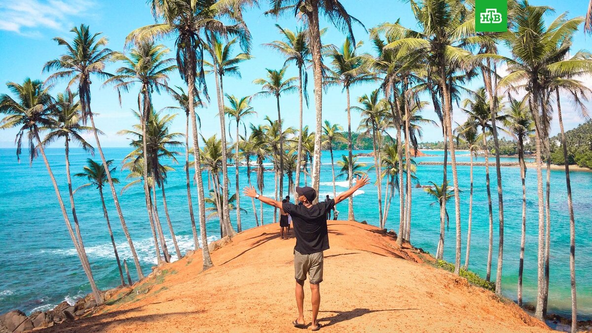    Фото: Farhath Firows / unsplash.com