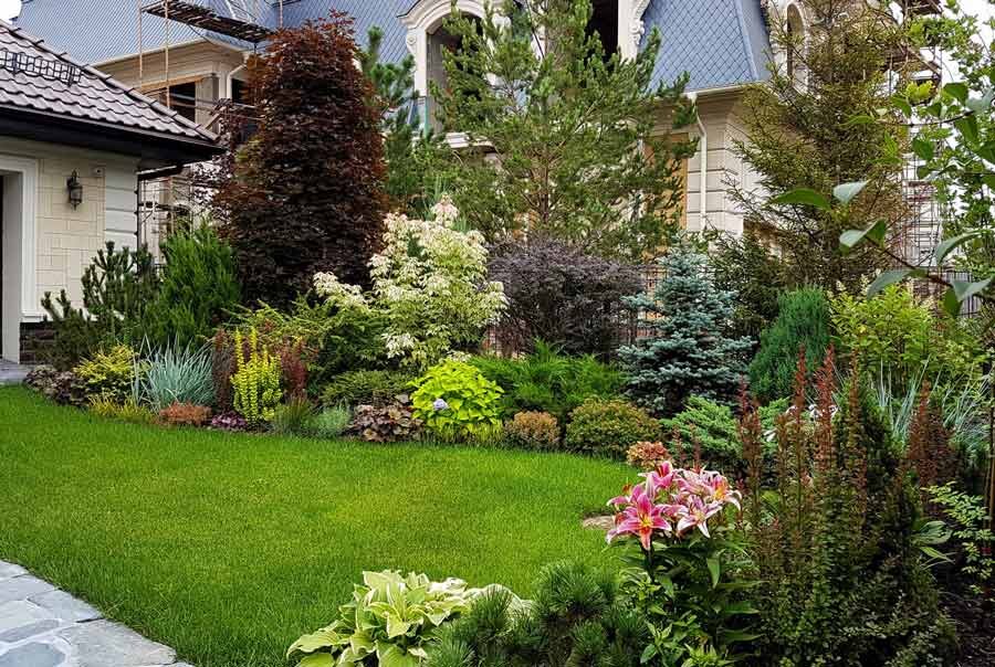 Фото взято из интернета