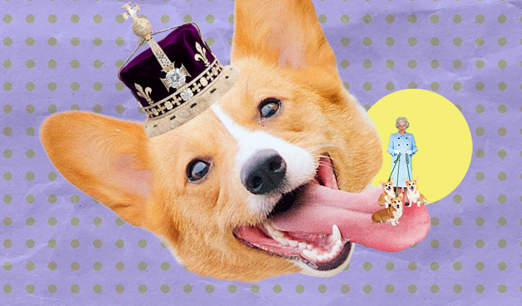 Источник: школа иностранных языков Skyeng