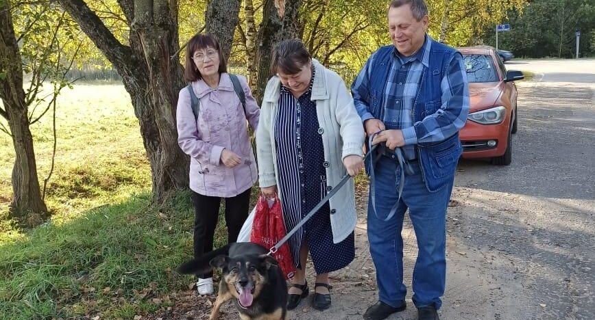 Зита и ее новые хозяева. Лесной приют. Фонд помощи бездомным животным / ВКонтакте📷
