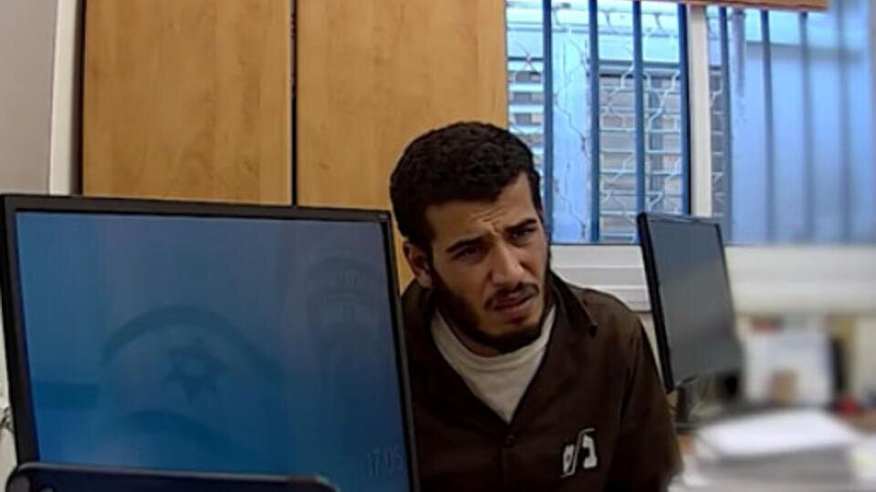 Фото: © скриншот видео