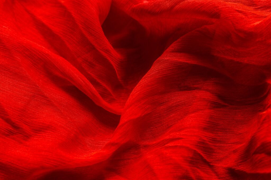    Фото: freepik.com writ4