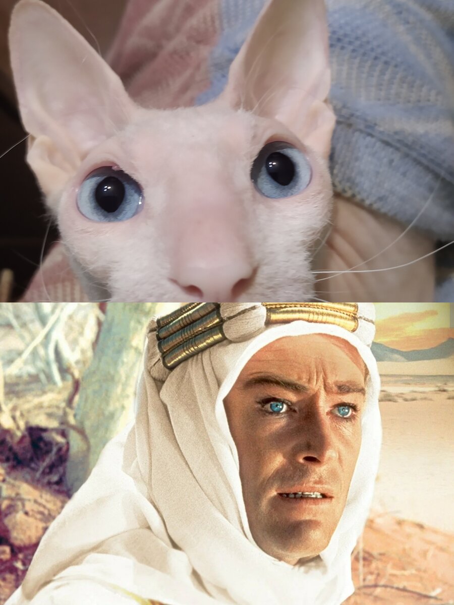 -1-2