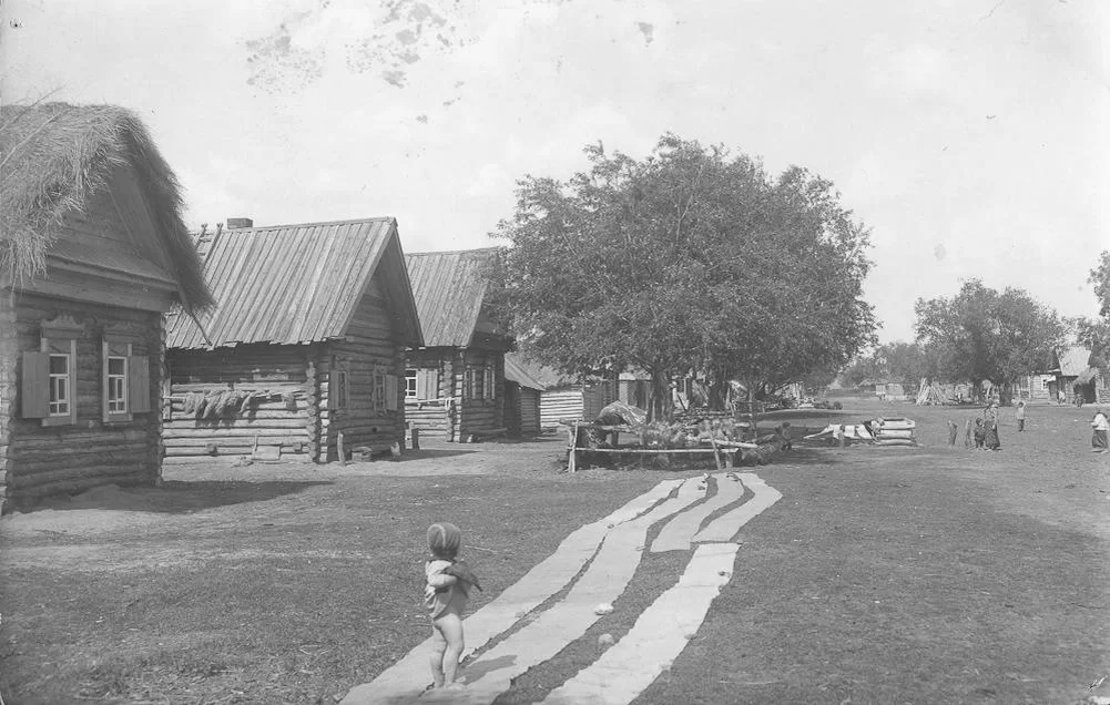 Разостланные для беления холсты. Рязанская губерния, Касимовский уезд, сел. Увяз. 1910