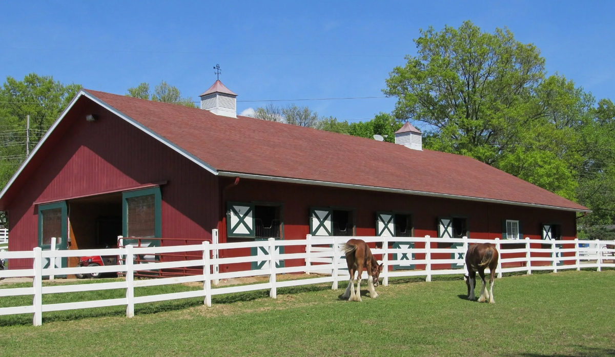 Яндекс картинки
