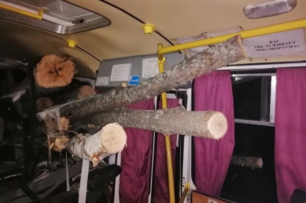    Смертельное ДТП под Алатырем – стволы деревьев оказались в салоне автобуса.