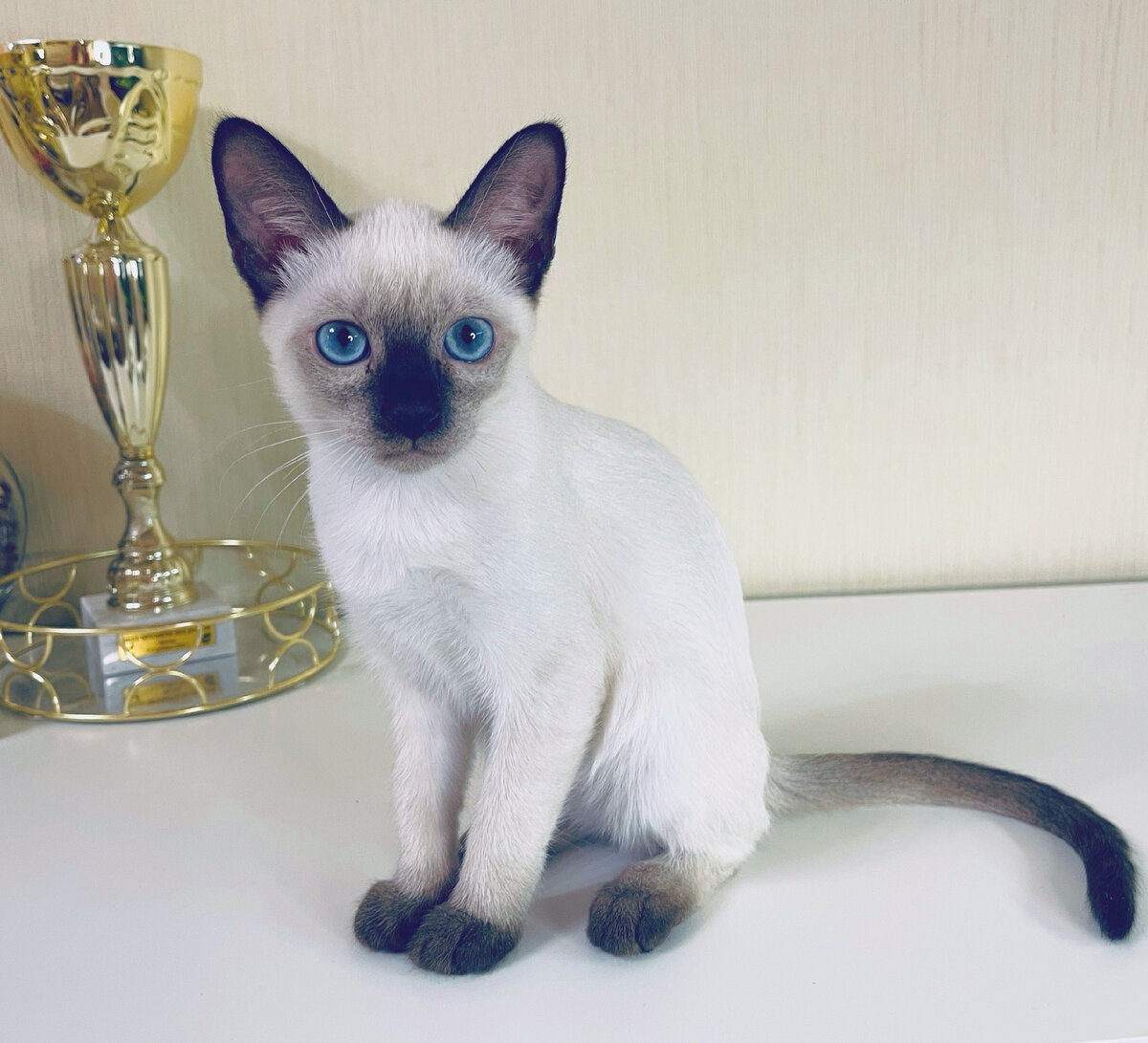 Елизавета Тайская Легенда