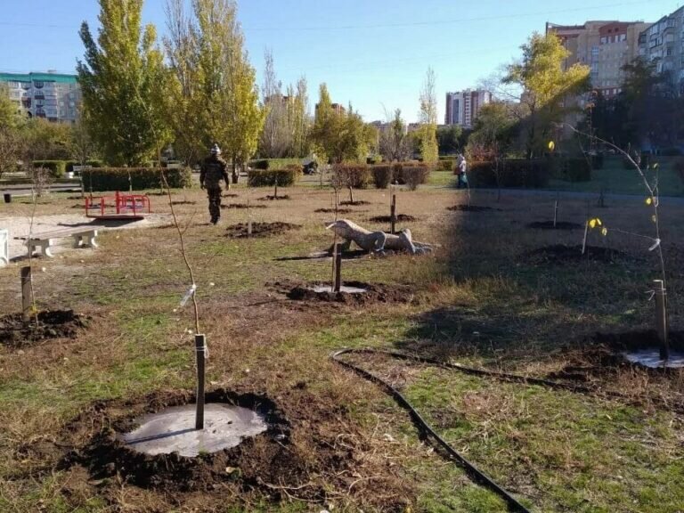    В Оренбуржье высадили 12000 саженцев в рамках акции «Посади лес» Кристина Просвиркина