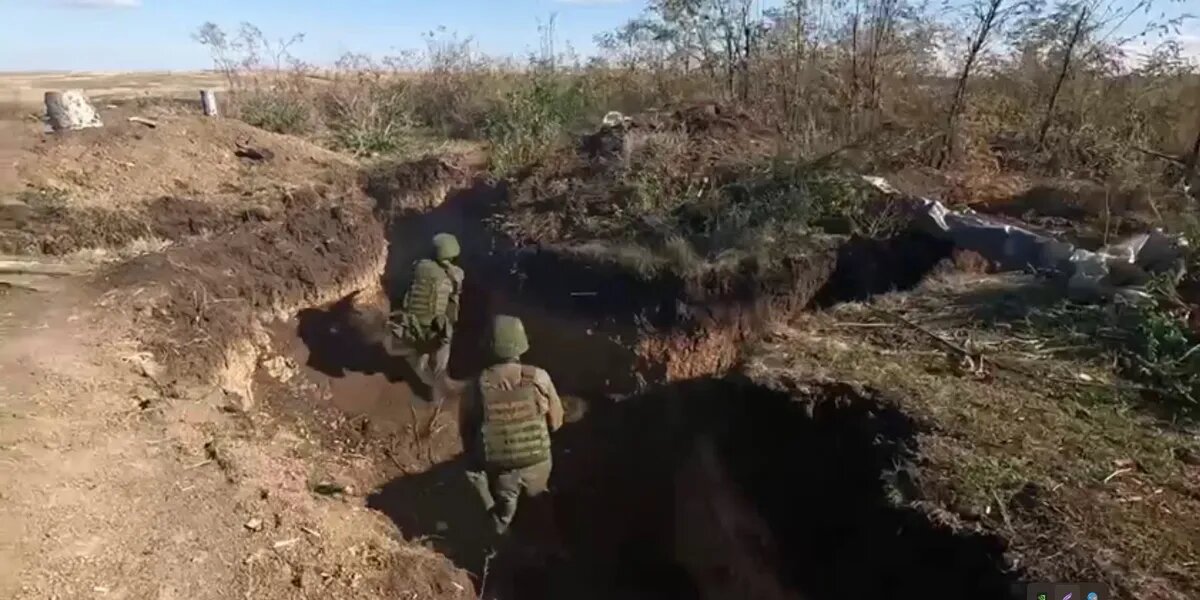 Фото: кадры из видео