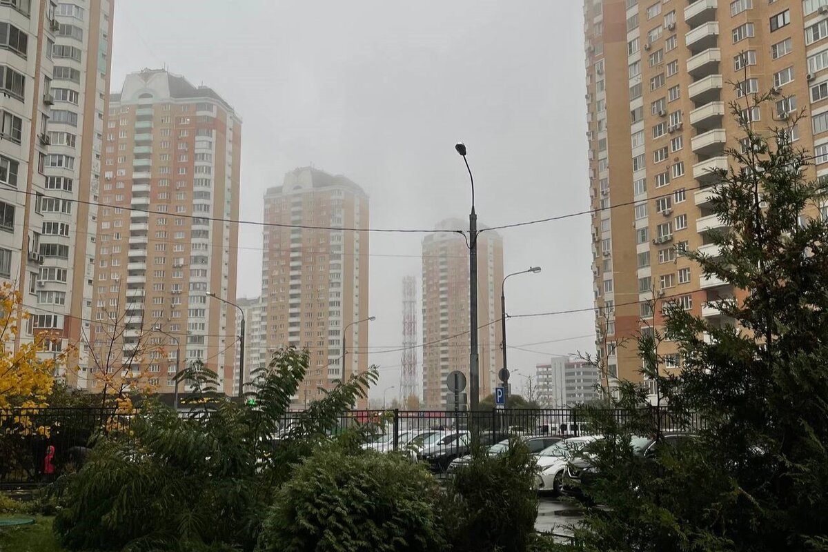 Погода за окном прямо сейчас
