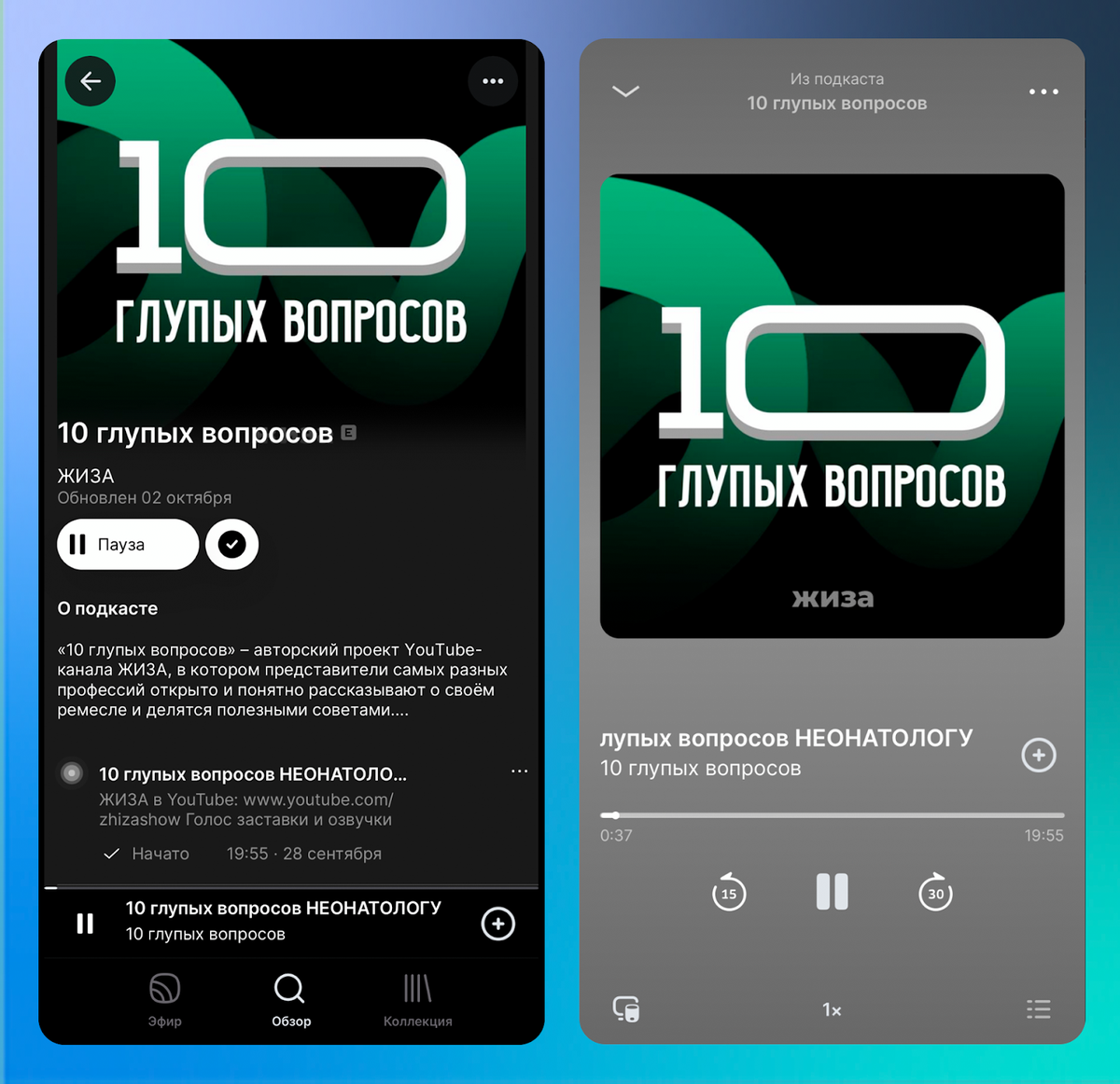 Подкаст «10 глупых вопросов» в приложении «Звук»