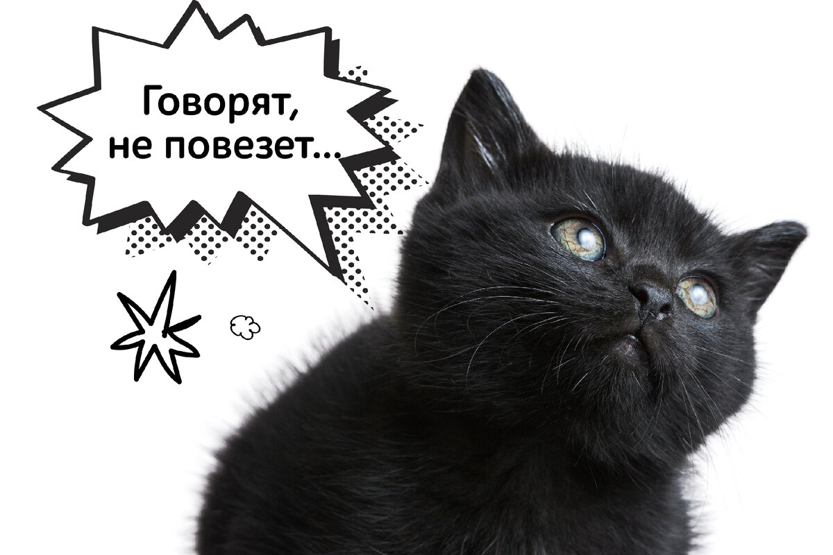 Фото https://clck.ru/36CgbP К подборке про Хэллоуин