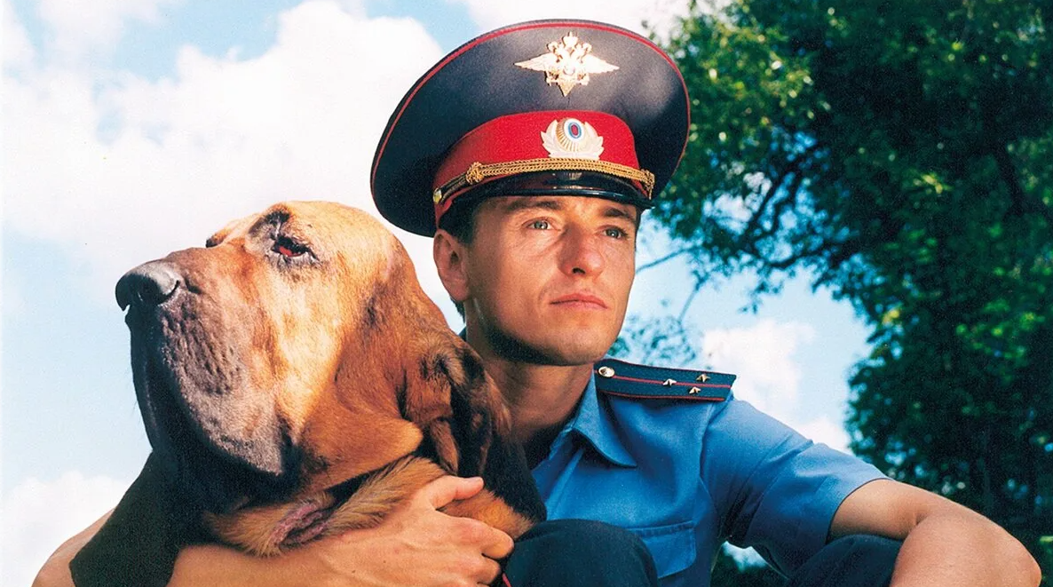 аль пачино опасный квартал. хью бонневилль охотники за сокровищами. участок кинопоиск. стана катич. участок кинопоиск.