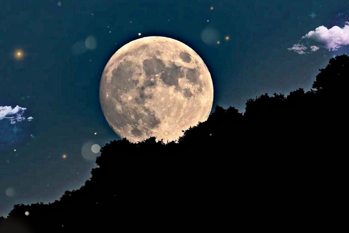 Фото из интернета 