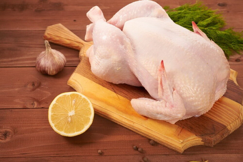 Мясо птицы качество. Тушка мясо птицы индейки. Курица тушка. Курица свежая. Курица охлажденная.