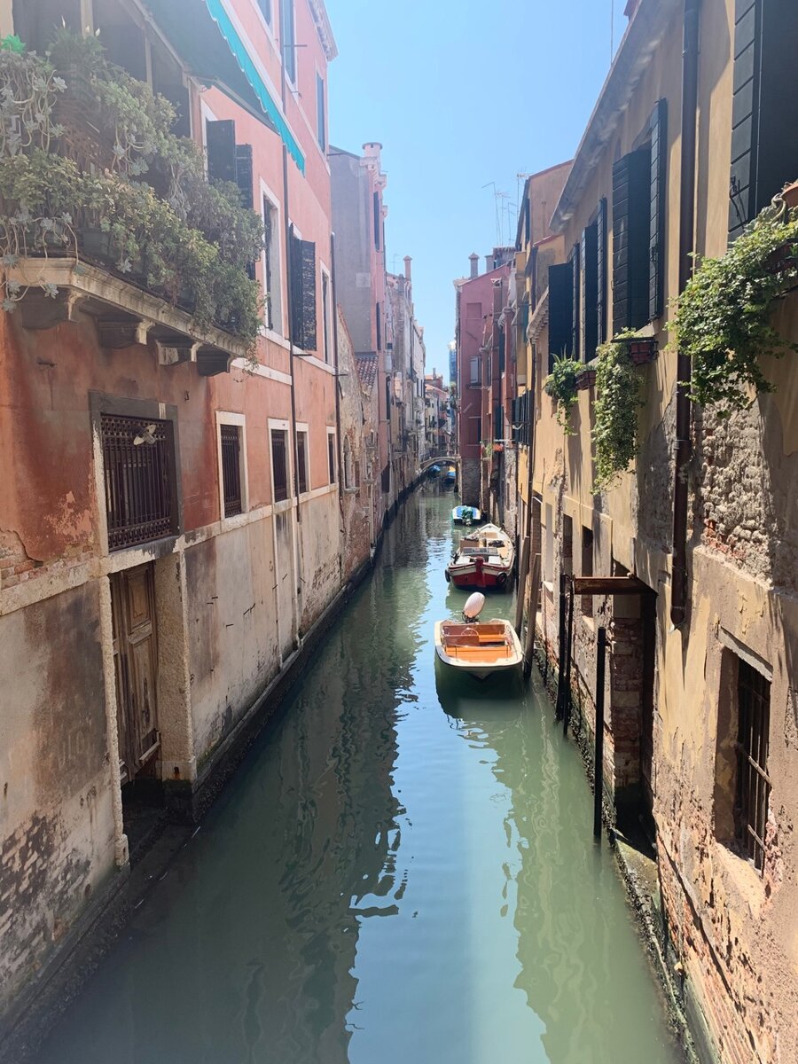 Венеция встречает восторженно