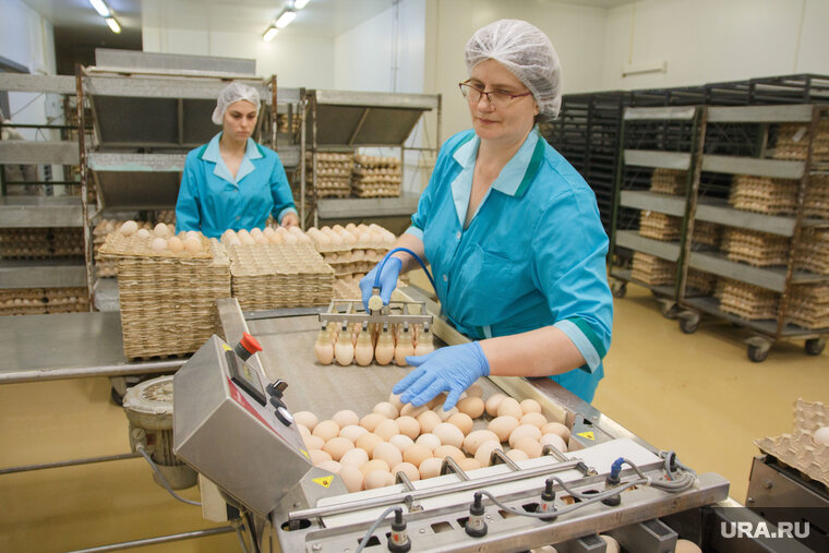    Власти продают еще 25% акций «Рефтинской», оставляя за собой право владения 26%