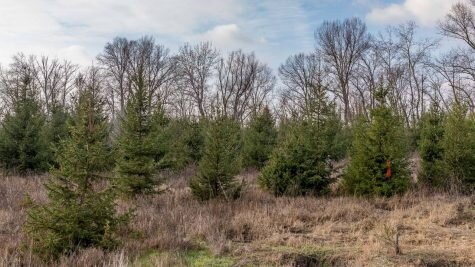    Фото: news.myseldon.com