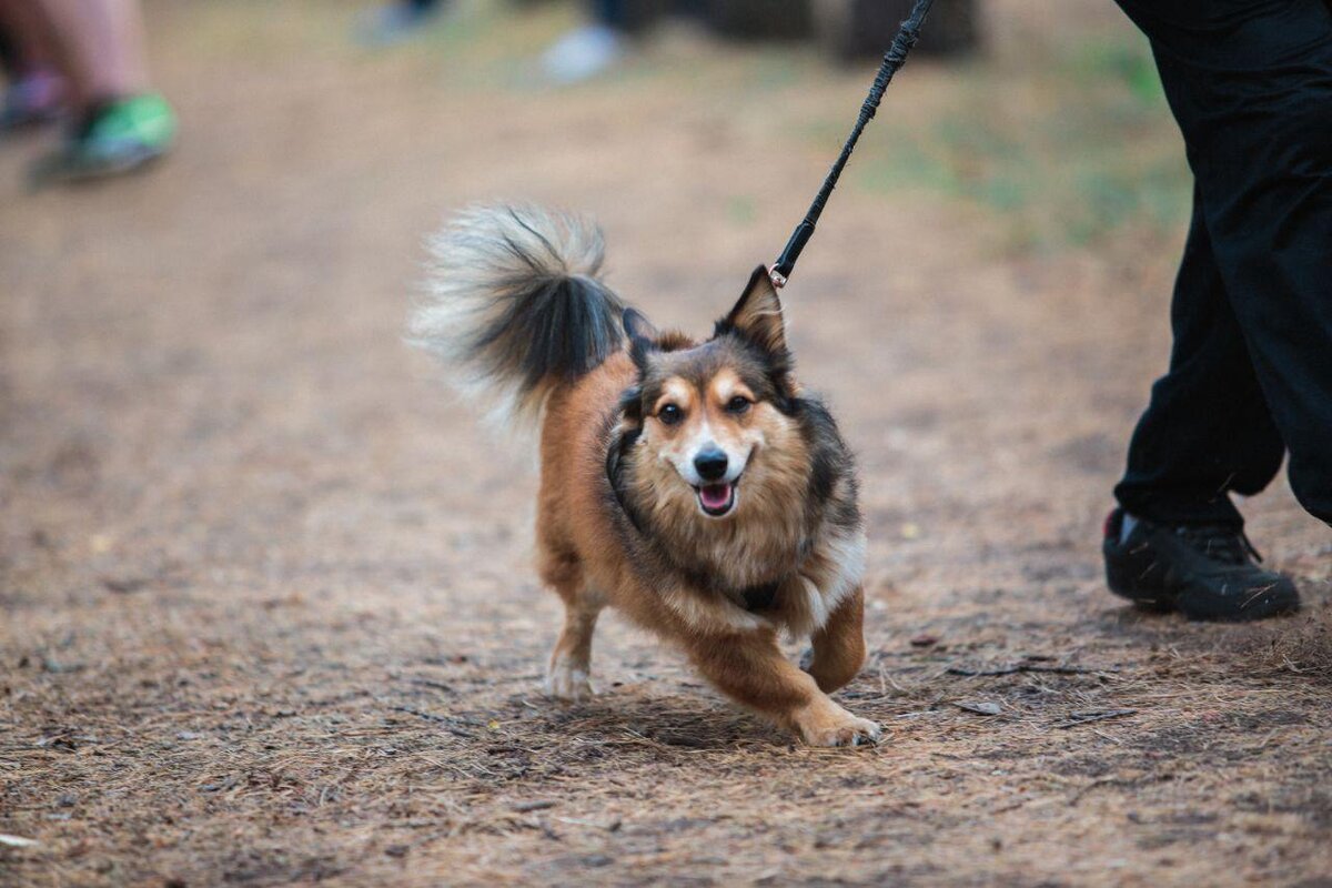 Фото: Царьград