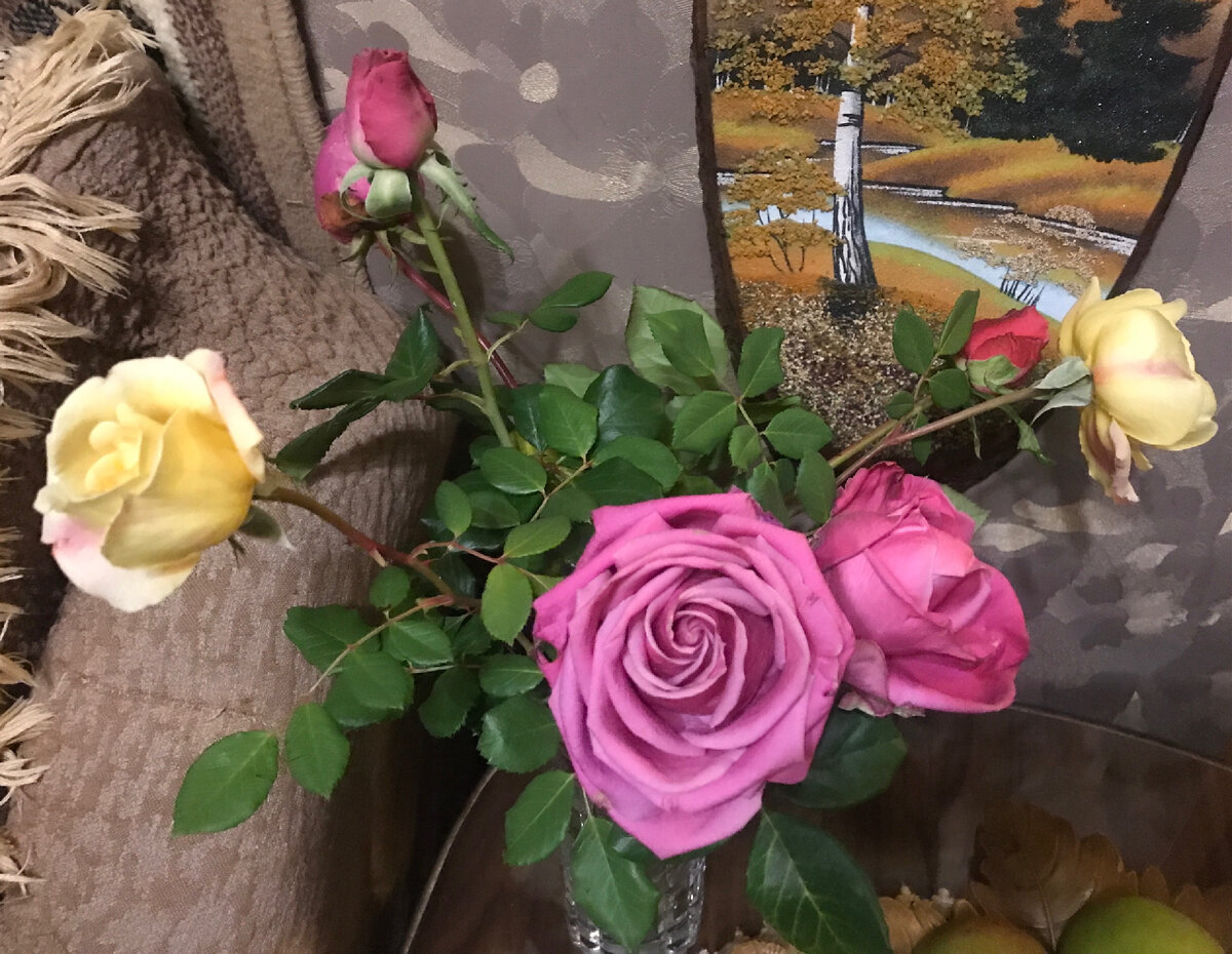 Цветы с нашего дачного участка