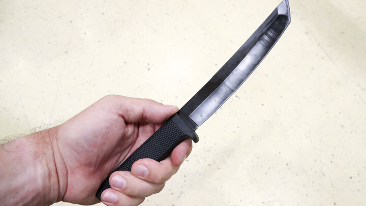 PETROV SERGEY/NEWS.RU/GLOBALLOOKPRESS