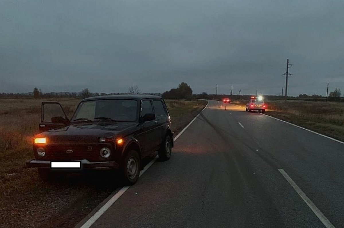    В Воронежской области насмерть сбили женщину