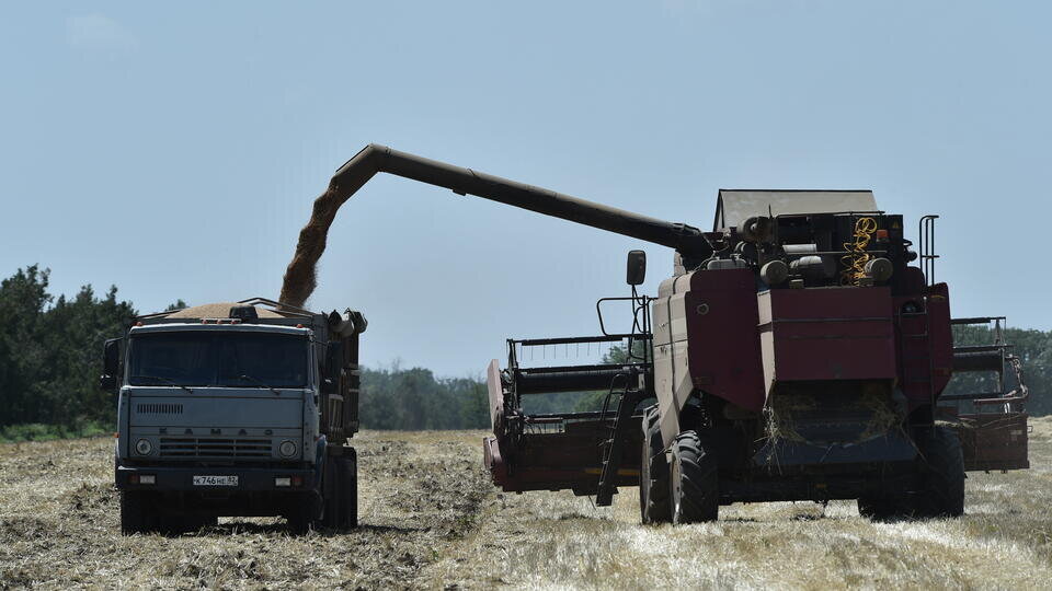 Фото: © Известия/Александр Полегенько