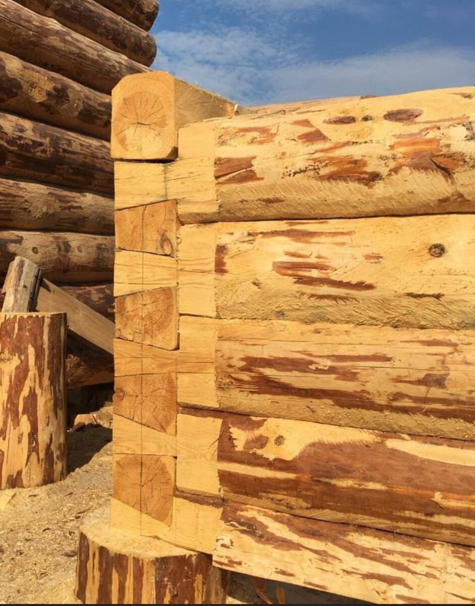 #рубка, #старая рубка, #рубка в лапу