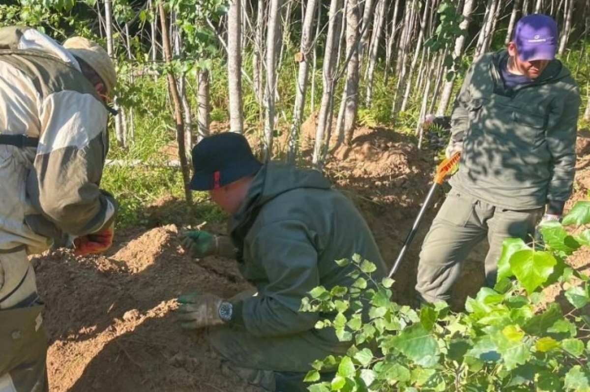    В Коми новый праздник в честь Дня поисковика будут отмечать 28 февраля