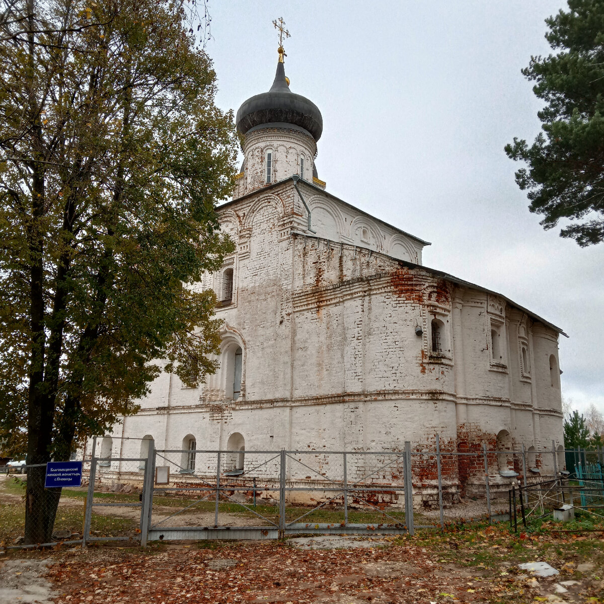 В Сновицах | Леди Несовершенство из города Владимира | Дзен