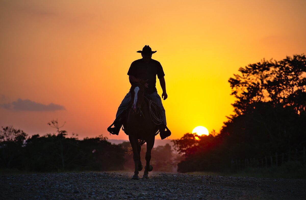 Фото с pixabay.com