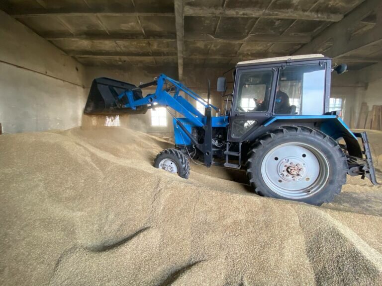    В Бузулукском бору идет подготовка к зиме Кристина Просвиркина