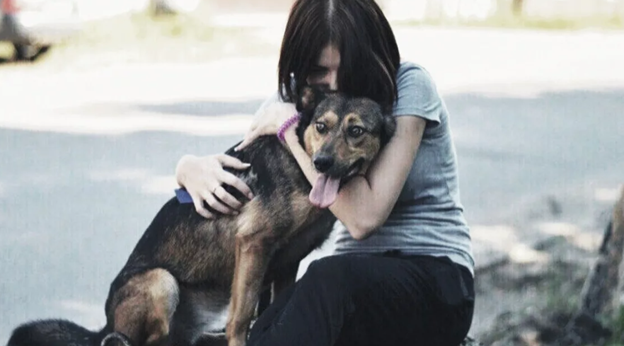 – Эй, быстро ко мне! Бегом, я сказал! Сидеть! Сидеть, не понимаешь что ли?! Ну и тупая псина!  – Пухлый парень кричал на щенка, пытаясь обучить его командам на площадке.-3