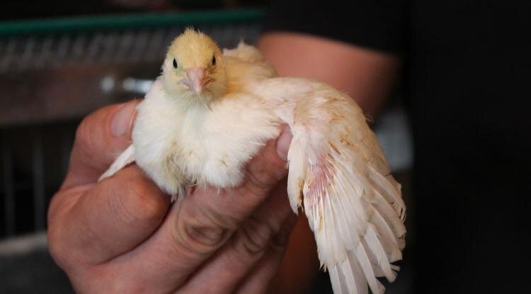 Фото: Анна Емельянова