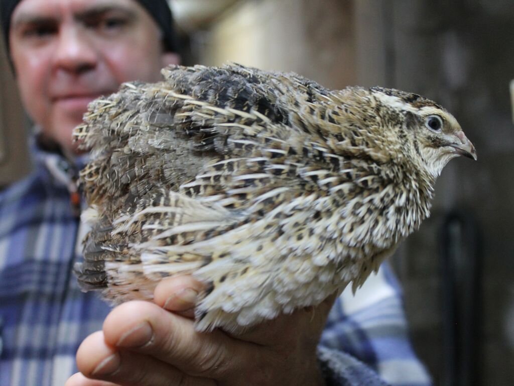 Фото: Анна Емельянова
