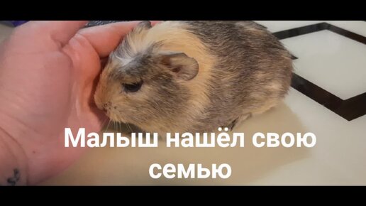 Преимущества жизни в компании