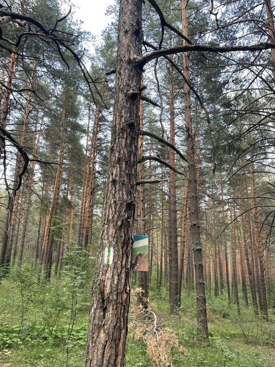 Маршруты пересекаются и отмечены на деревьях специальными знаками.