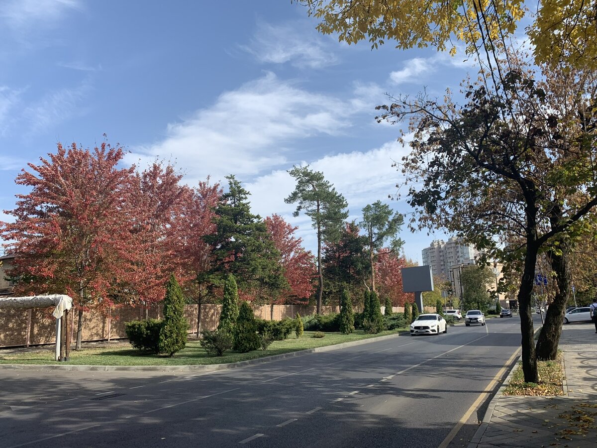 Вчера прогулялась в обед по настоящему теплу. Фото автора