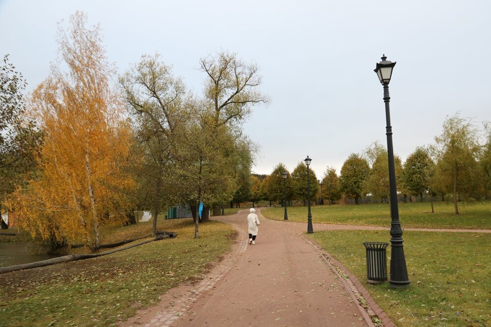 Восход солнца в осеннем Царицынском парке