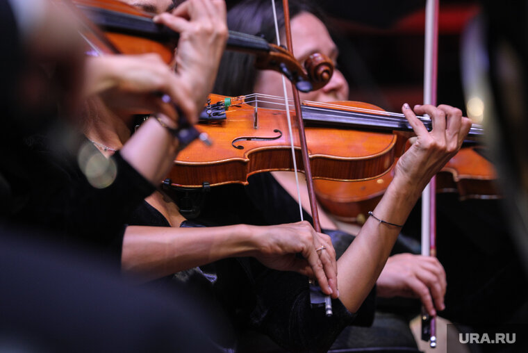    Екатерина Путряева — скрипач по образованию, ранее возглавляла ДШИ в Салехарде