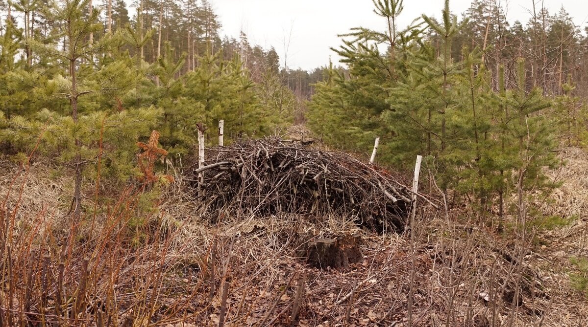 Фото: © Татьяна Хакимулина