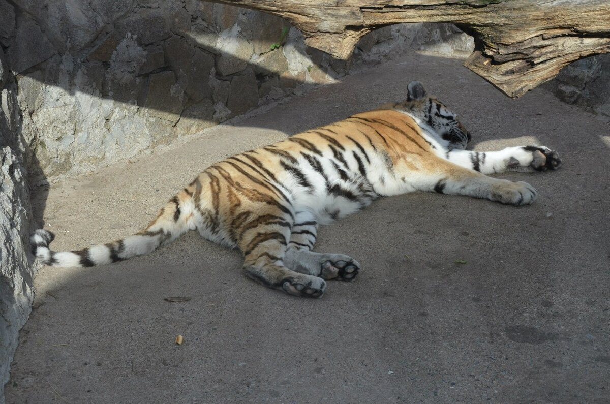 Одни из первых моих кадров на Nikon D3100.