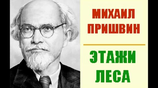 Пришвин Михаил Михайлович (страница 2)