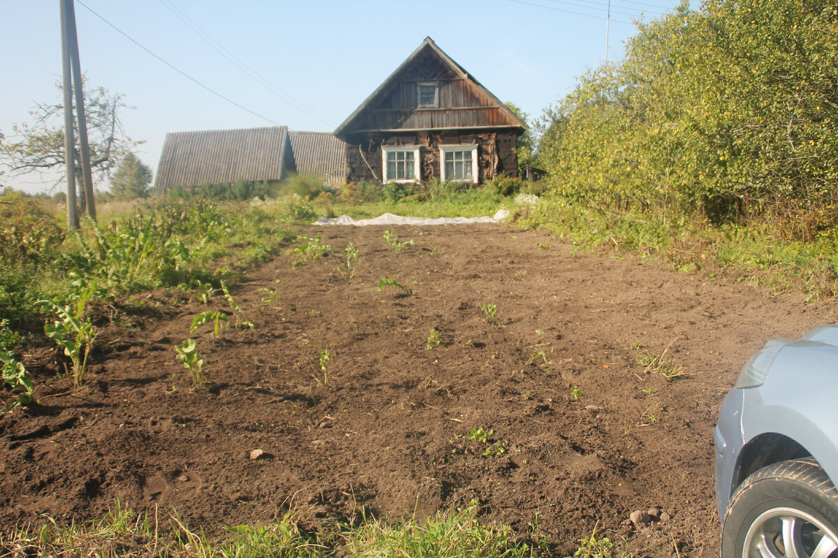 Мой домик в Псковской деревне (фото Автора).