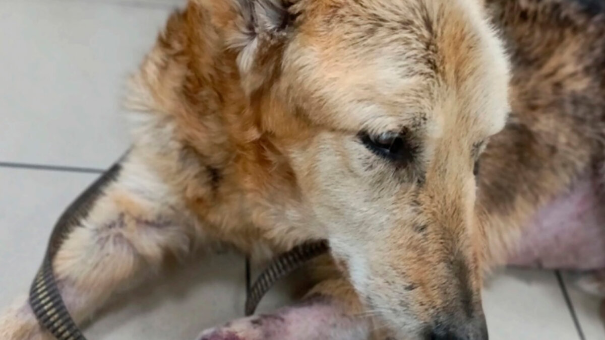 Ярик, в клинике. Уже после приема у врача / Все фотографии в тексте - автора