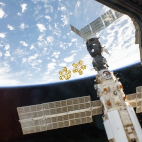 Серьги Mercury Flower из белого золота с бриллиантами